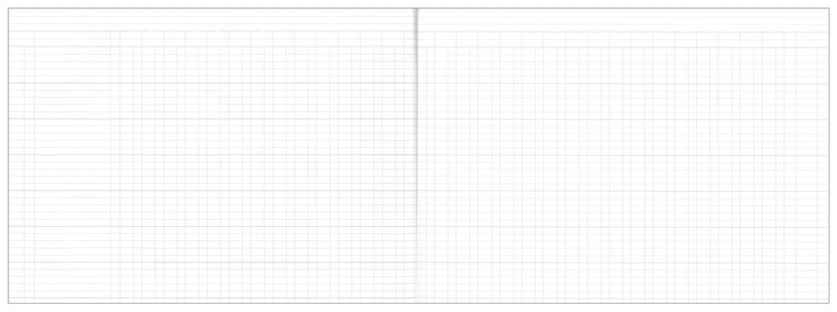 Collins Analysis Book 800 Series - 32 Money Column – Collins Debden