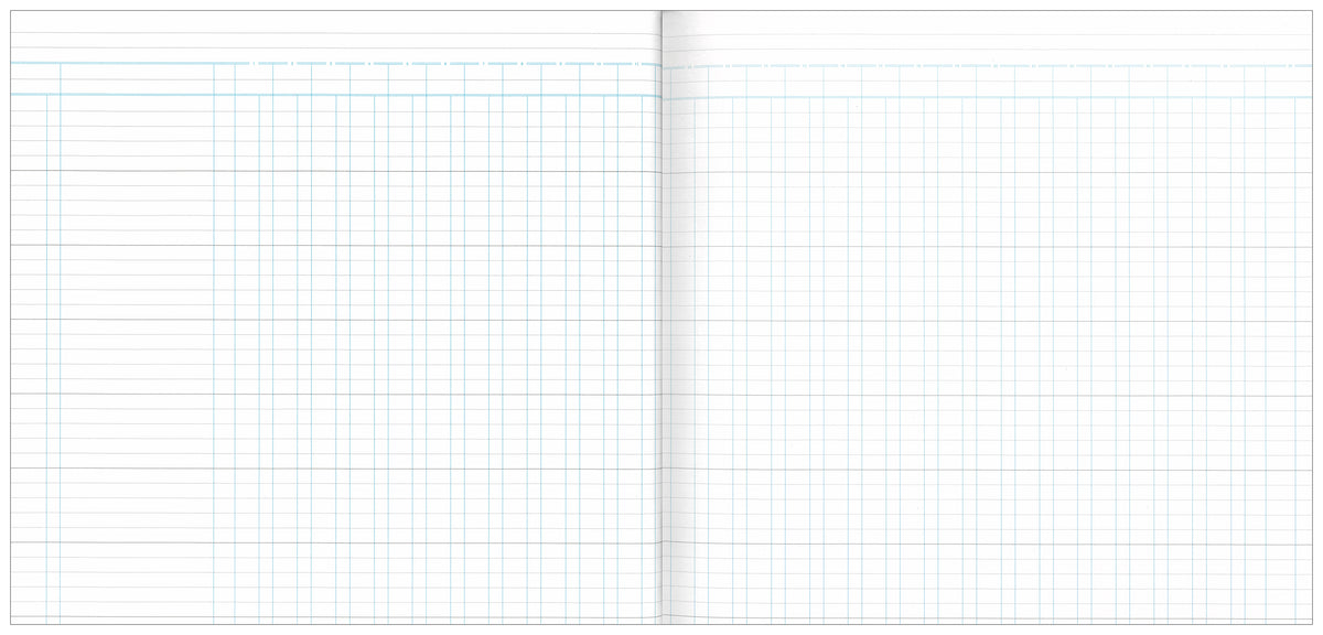 Analysis Book '700' Series 27 Money Column Default Title