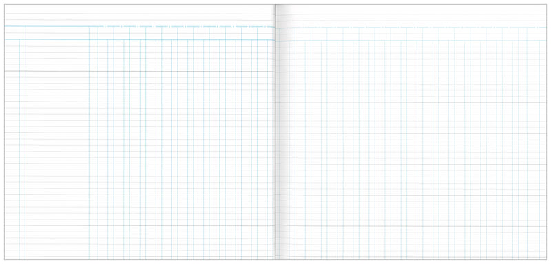 Analysis Book '700' Series 27 Money Column Default Title