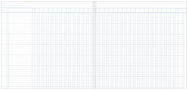 Analysis Book '700' Series 32 Money Column Default Title