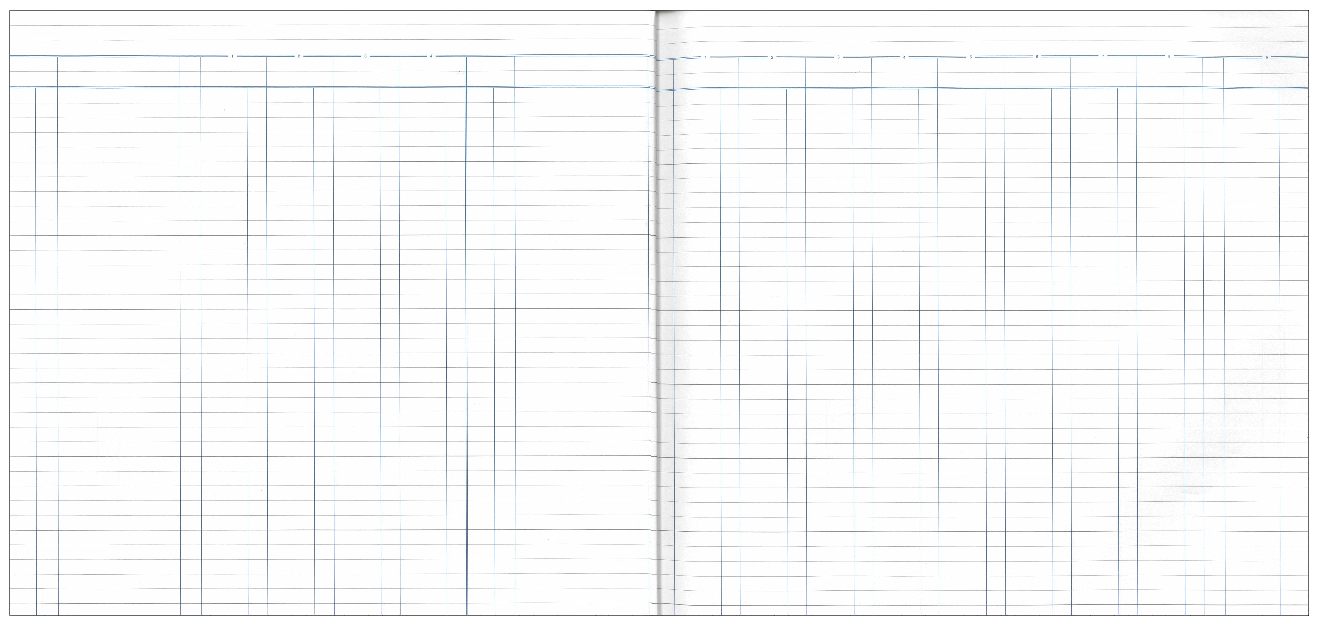 Analysis Book '700' Series Petty Cash Default Title