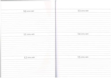 Any Year Diary A4 3 Days to a Page #61 Default Title