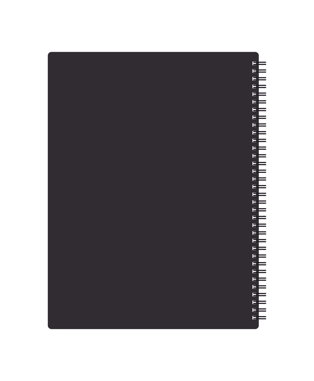 Collins Advantage Meetings A4 Notebook Default Title
