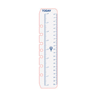 DayPlanner - Desk Size Today Ruler (2 Pack) Default Title