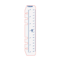 DayPlanner - Personal Size Today Ruler (2 Pack) Default Title